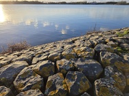 OnePlus 15 cameratest - Hoofdcamera overdag