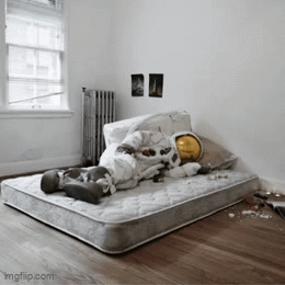 Afbeeldingslocatie: https://tweakers.net/i/nRJbbNgn2SkiolLv68l9ElYg22o=/fit-in/4000x4000/filters:no_upscale():gifsicle():strip_exif()/f/image/dG8eaFeiLK2zHsoPY0BeKtZt.gif?f=user_large