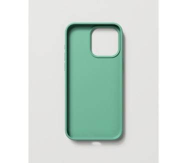 Nudient Base Case