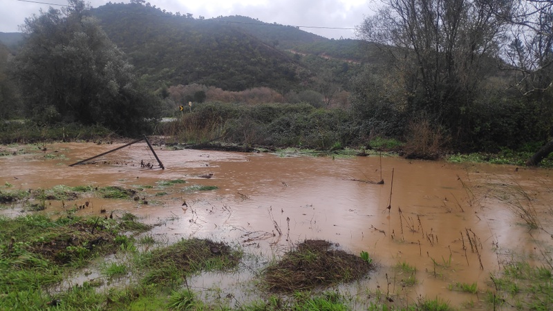 Afbeeldingslocatie: https://tweakers.net/i/nUJCxMzvbBHNlBx6Srnt5O6yVIY=/800x/filters:strip_icc():strip_exif()/f/image/kyH5Pvj3I0MqQYj0pGNnW4vz.jpg?f=fotoalbum_large