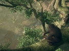 Ancestors The Humankind Odyssey