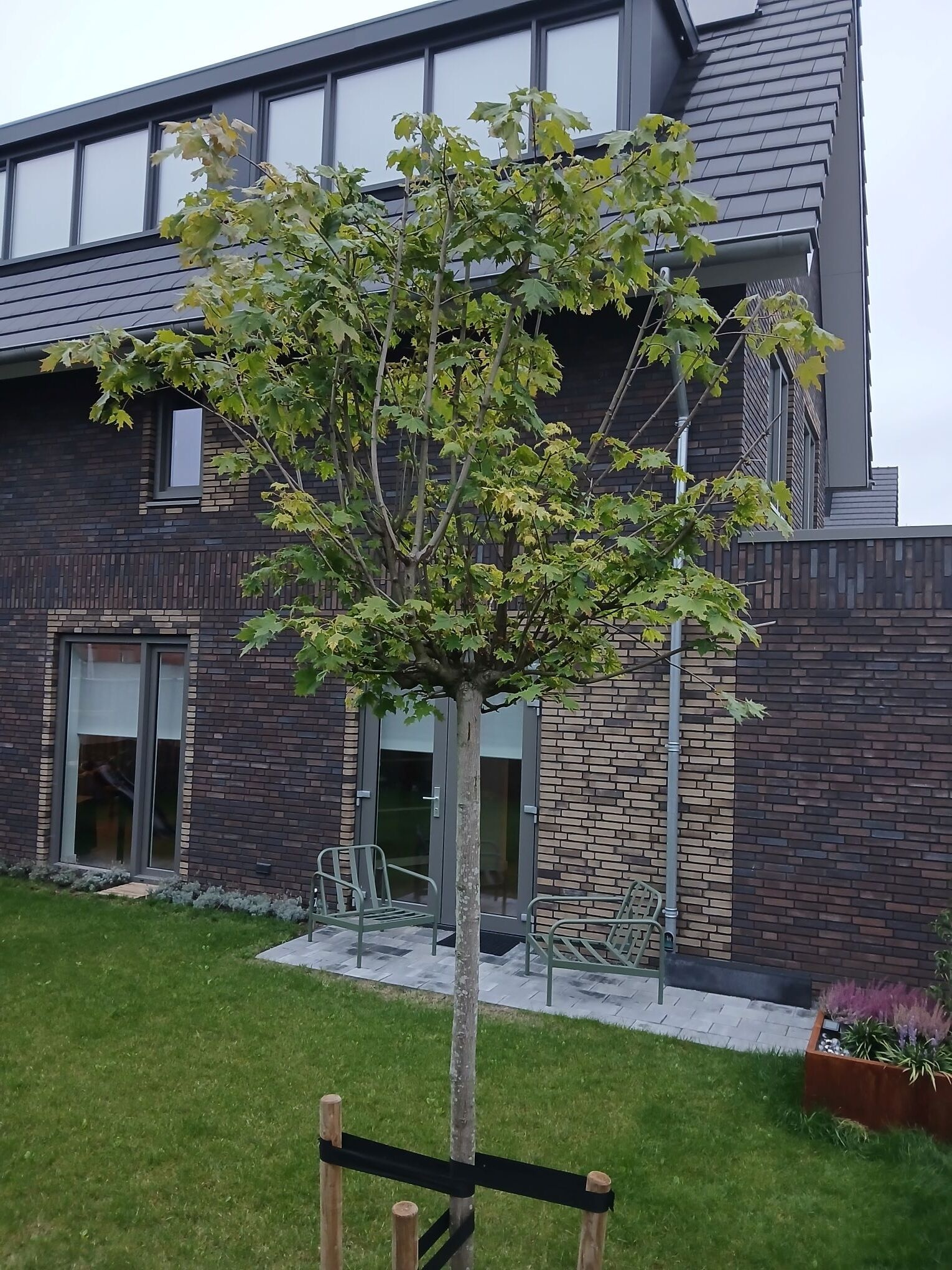 Afbeeldingslocatie: https://tweakers.net/i/nW4iVF5Lxm4mb1-OwQalMGWABC4=/fit-in/4920x3264/filters:max_bytes(3145728):no_upscale():strip_icc():strip_exif()/f/image/2ZTl2UG6BvphcvJejRK7APKK.jpg?f=user_large