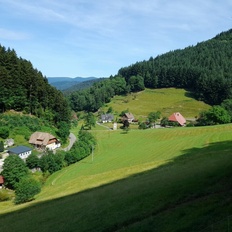 Afbeeldingslocatie: https://tweakers.net/i/nXHVZZLp8D5Mpa_eQsIHt3iMcuM=/232x232/filters:strip_icc():strip_exif()/f/image/vunCimVbrs8GBWPoP8u8dykx.jpg?f=fotoalbum_tile