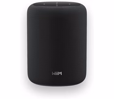 WiiM Sound Lite (Zwart)