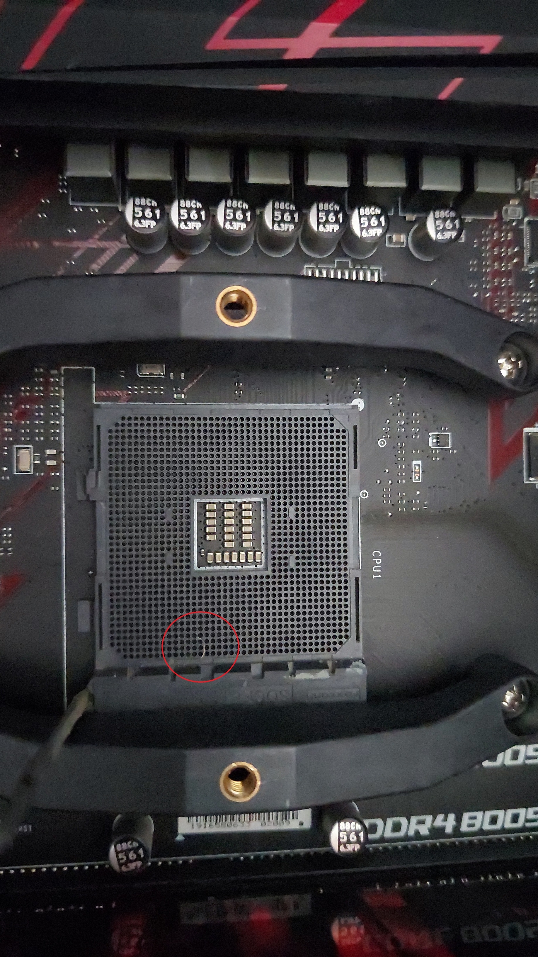 Afbeeldingslocatie: https://tweakers.net/i/naTcCM2AC51LLatOnfW-hgVeKsU=/fit-in/4920x3264/filters:max_bytes(3145728):no_upscale():strip_icc():strip_exif()/f/image/yB4K10lksjYqi9bPAihjkMW0.jpg?f=user_large