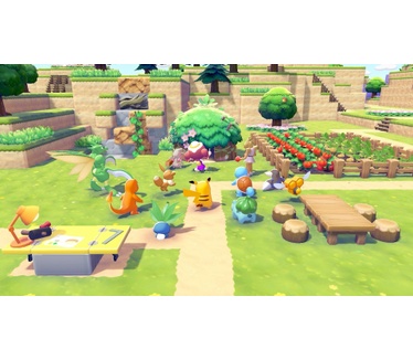 Nintendo Nintendo Switch 2 & Pokemon Pokopia