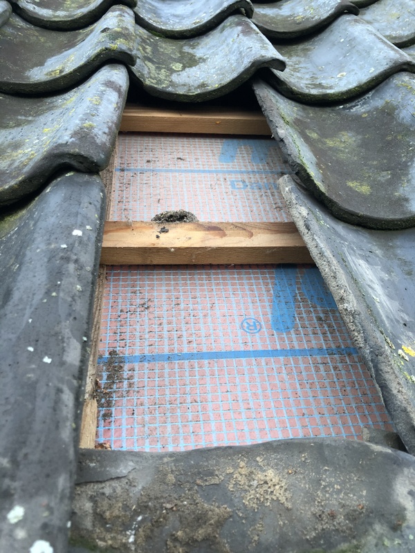 Afbeeldingslocatie: https://tweakers.net/i/nfqOxqD-n7Wk96XN_7OmU_9f2Q0=/x800/filters:strip_icc():strip_exif()/f/image/Ei6LbvtY7tMNnIaVKqnOdDVu.jpg?f=fotoalbum_large