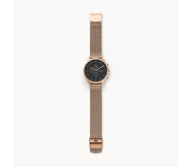 Skagen SKT3100
