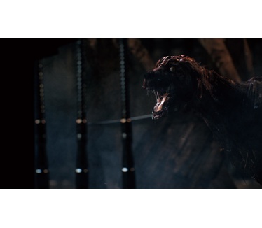 Bloodborne - Game Of The Year Edition