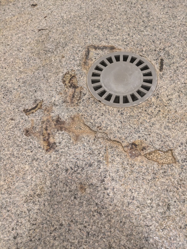 Afbeeldingslocatie: https://tweakers.net/i/nkgn7OHL3uJOcsuJ2pfgiax_WGM=/x800/filters:strip_icc():strip_exif()/f/image/5BmBAG39JjI22hyKJWMWrnTl.jpg?f=fotoalbum_large