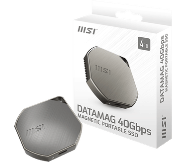 MSI Datamag 40Gbps 1TB Zilver