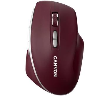 Canyon MW-21