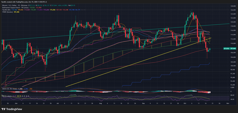Afbeeldingslocatie: https://tweakers.net/i/nmOcfJjvu8L85ptPT9joZPeCVjA=/800x/filters:strip_exif()/f/image/50lpOcfelfknpzUtxCP6atC7.png?f=fotoalbum_large