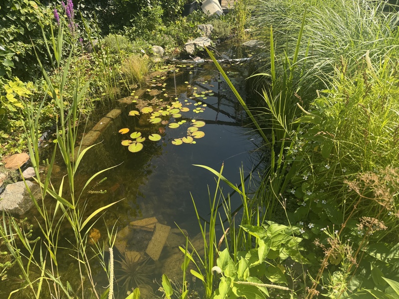 Afbeeldingslocatie: https://tweakers.net/i/npD6XX7jz1Da97WTafWRgk8pjAY=/800x/filters:strip_icc():strip_exif()/f/image/tO1ylXtFFExPqCOQltLoxNVK.jpg?f=fotoalbum_large
