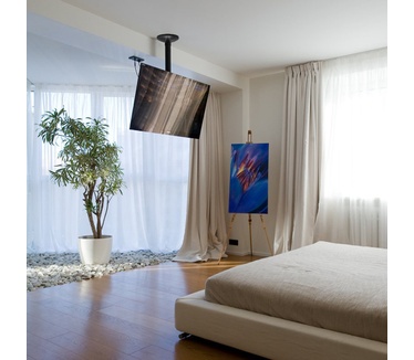 Newstar flatscreen plafondsteun