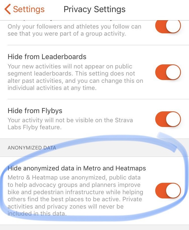 Strava settings