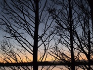 OnePlus 15 cameratest - 2x zoom