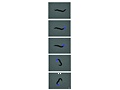 Lcd-projector op C. elegans