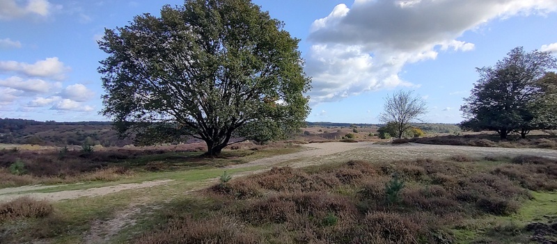 Afbeeldingslocatie: https://tweakers.net/i/nuv0PT5cjOkBfX_Fx14mnCOWpX8=/800x/filters:strip_icc():strip_exif()/f/image/ZzewF1onSMjOJWvPRUpQo34w.jpg?f=fotoalbum_large