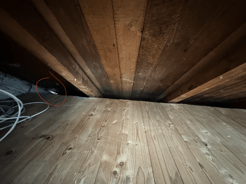 Afbeeldingslocatie: https://tweakers.net/i/nv4FndyVoK9T4LTxKEZaQ89YCnw=/800x/filters:strip_exif()/f/image/P1M4TQzfc6OZHRiRD3mfktMJ.png?f=fotoalbum_large