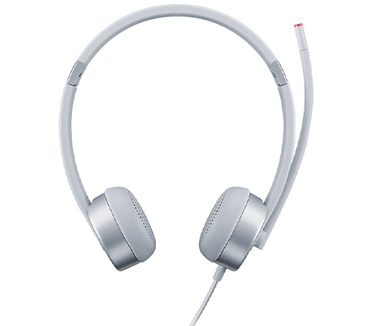 Lenovo 100