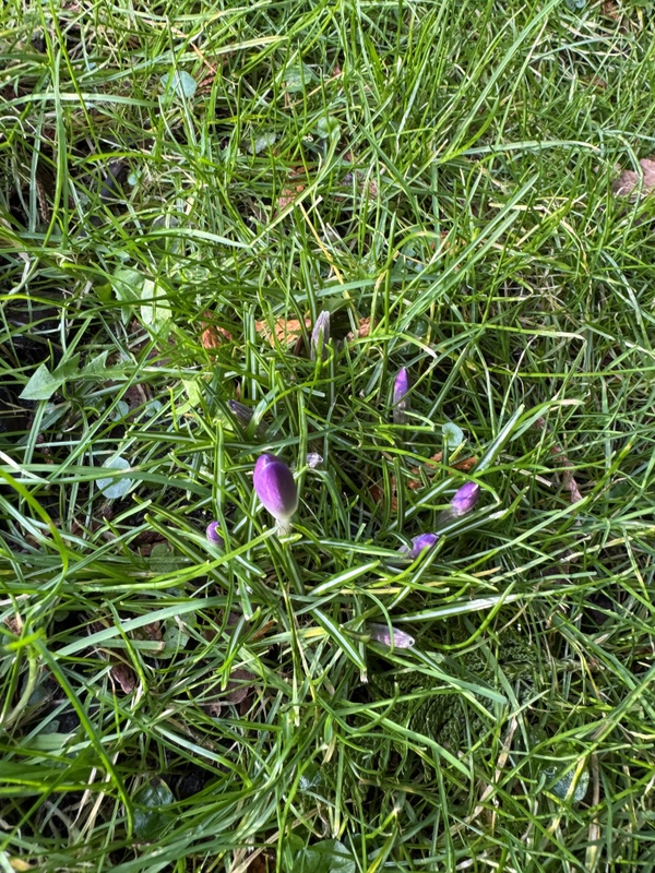 Afbeeldingslocatie: https://tweakers.net/i/nx-5nMTJvhm3azE4sr-lJI3dLDI=/x800/filters:strip_icc():strip_exif()/f/image/BHspRn94o90YEGLojIzHxhfP.jpg?f=fotoalbum_large