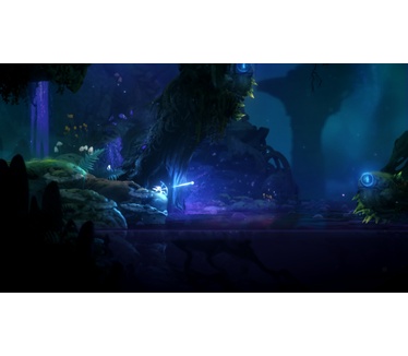 Ori and the Will of the Wisps, Switch