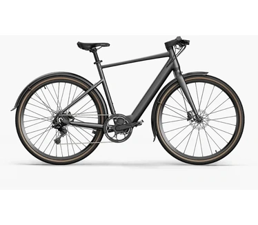 Fiido C21 E-gravel e-bike