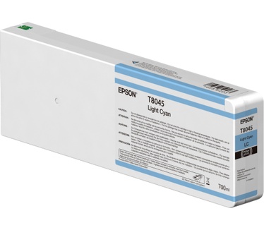 Epson T804500