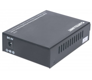 Intellinet 545068