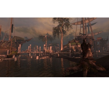 The Elder Scrolls Online Blackwood Collection, Windows