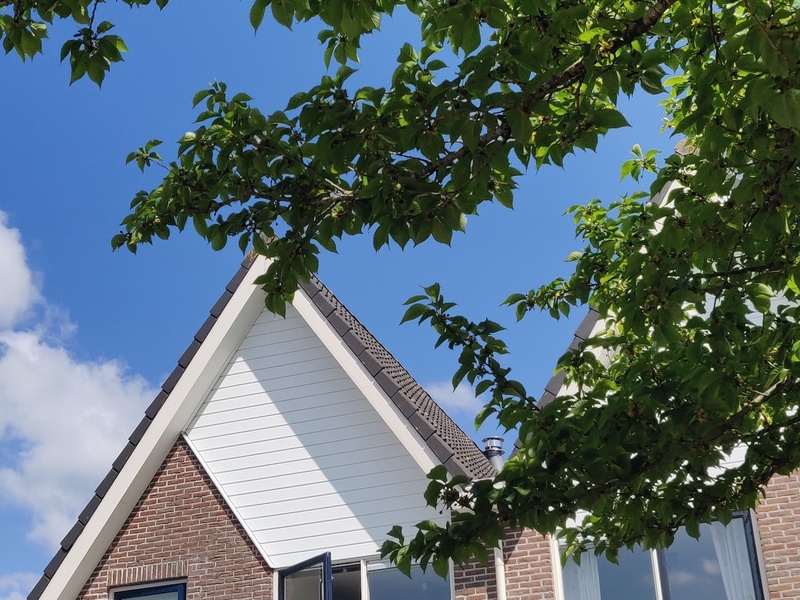 Afbeeldingslocatie: https://tweakers.net/i/o0Yl6RB6fNXaKYuvCuZDld-u-kU=/800x/filters:strip_icc():strip_exif()/f/image/kvmbOPjkjQdv7C2P1nqBB02y.jpg?f=fotoalbum_large