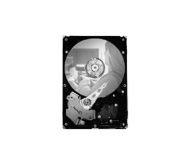 Seagate DB35.3 ST380215ACE