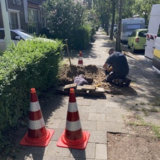 Afbeeldingslocatie: https://tweakers.net/i/o4YMn67KpSeCqzZ1fXW8Ka_Hzzs=/232x232/filters:strip_icc():strip_exif()/f/image/4bXZvt4IWOKJug3CKZWAHrhe.jpg?f=fotoalbum_tile