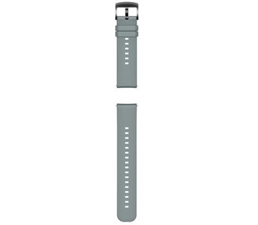 Huawei Watch GT 2 (42mm) Zwart (Blauw)
