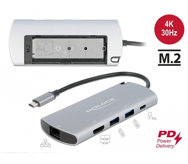 Delock USB Type-C Docking Station with M.2 Slot - 4K HDMI / USB / LAN / PD 3.0