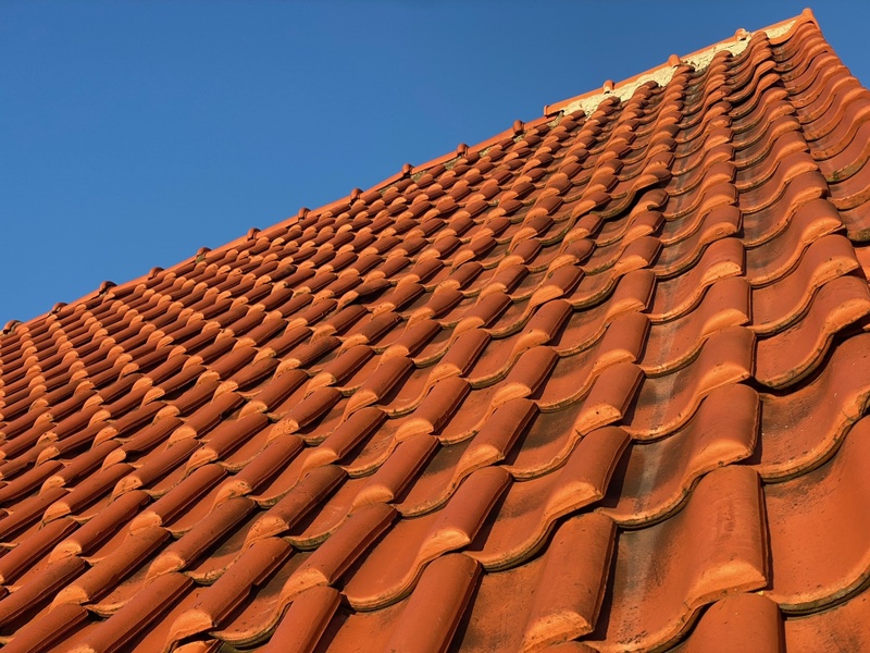 Afbeeldingslocatie: https://tweakers.net/i/o62KT_5S-Mgd2SicYMeknu-UKRo=/800x/filters:strip_icc():strip_exif()/f/image/J24WHqXlbltavNxEGnoxTiIm.jpg?f=fotoalbum_large