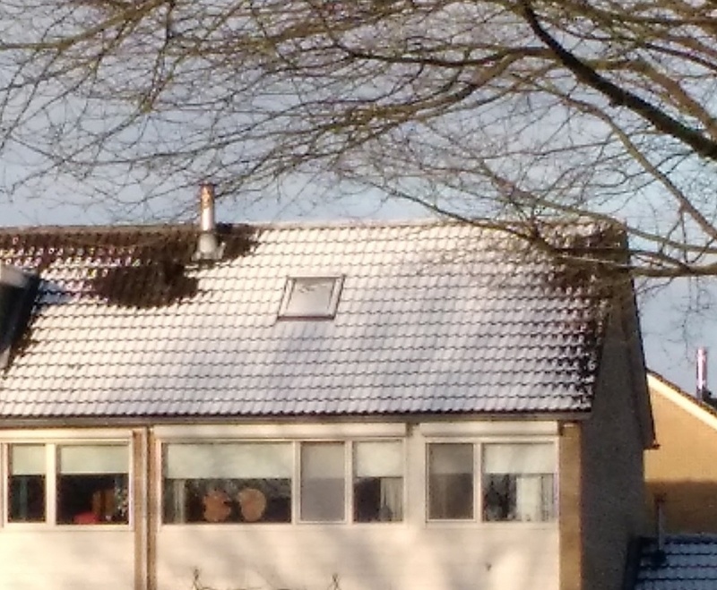 Afbeeldingslocatie: https://tweakers.net/i/o7LPRmyxULENHEOo61Dl1qbJXAM=/800x/filters:strip_icc():strip_exif()/f/image/8YAgHPh0eDd6jAWuKJO0dwDf.jpg?f=fotoalbum_large