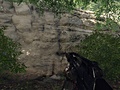 Crysis texture mod