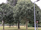 Cameravergelijking - 2x zoom