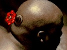 Valve's Head