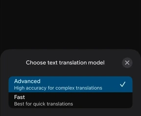 Google Translate Fast en Advanced, november 2025