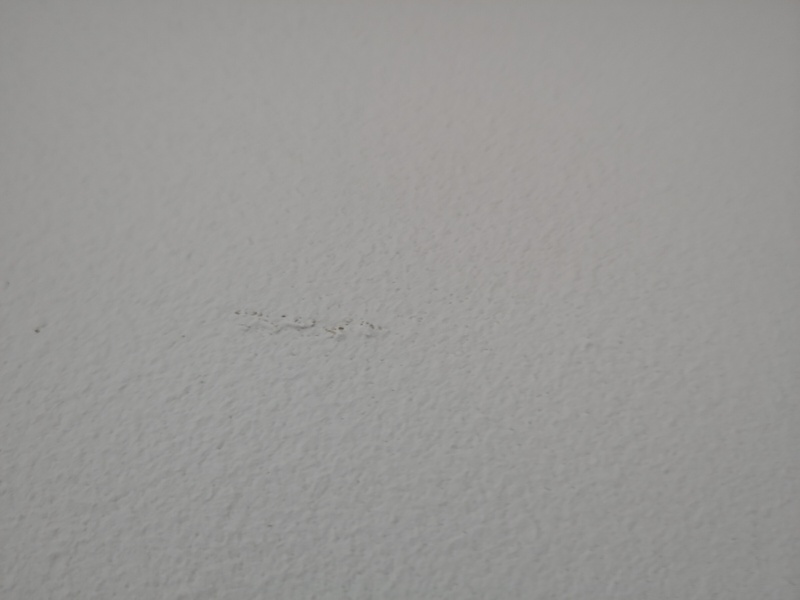 Afbeeldingslocatie: https://tweakers.net/i/oAaQaR0Jpkj4NsyzECC5iffjWUQ=/800x/filters:strip_icc():strip_exif()/f/image/bXnynG5SO6jUM3eWrR0TmOCT.jpg?f=fotoalbum_large