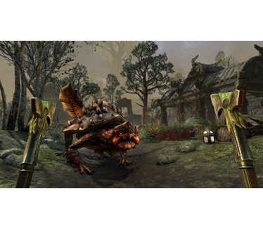 The Elder Scrolls Online Blackwood Collection, PS4