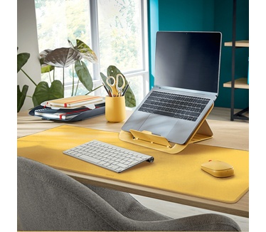 Leitz Cosy