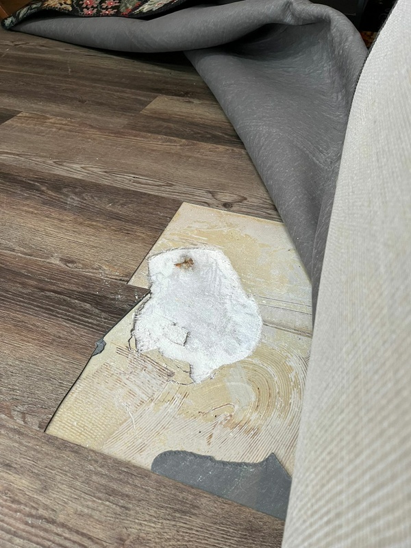 Afbeeldingslocatie: https://tweakers.net/i/oEbOk6Brl2Po8aj8_9lfxDDBCTI=/x800/filters:strip_icc():strip_exif()/f/image/bh5kOlwfDl1nbKCOJZmUKsaH.jpg?f=fotoalbum_large