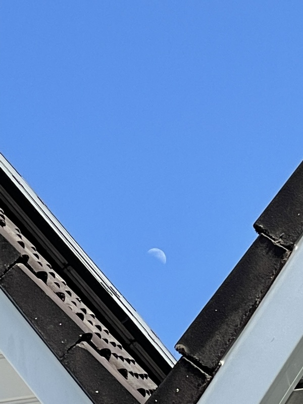 Afbeeldingslocatie: https://tweakers.net/i/oFXVPONTwMAFlvXAvDzn4a_zsB4=/x800/filters:strip_icc():strip_exif()/f/image/HcztAcD54JUrPqviU325babF.jpg?f=fotoalbum_large