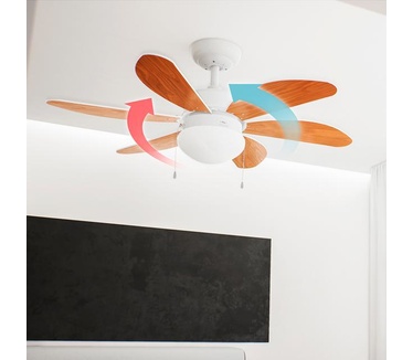Cecotec 05939