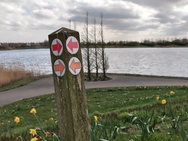 Phone 4a Pro cameratest - 2x zoom