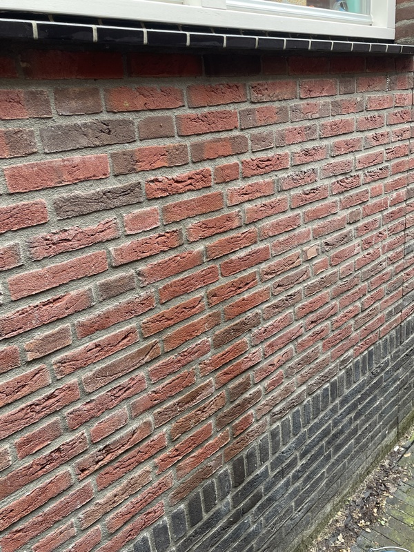 Afbeeldingslocatie: https://tweakers.net/i/oKOWH5wgAZ8uh0eTya9sbzHILOQ=/x800/filters:strip_icc():strip_exif()/f/image/PTC0VGyLTOPVo1TIoZJtVXMe.jpg?f=fotoalbum_large